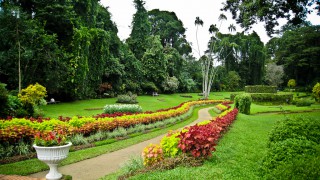 sri-lanka-garden