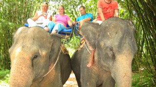 thailand-elephant-ride