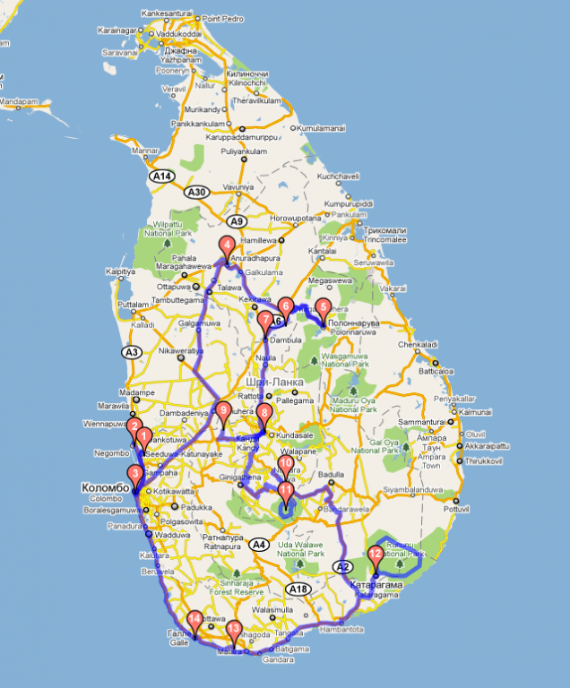 alexander-zubkov-sri-lanka-trip