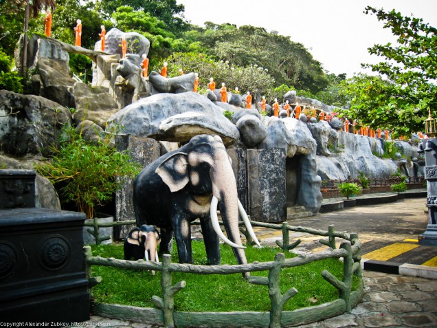 sri-lanka-dambulla