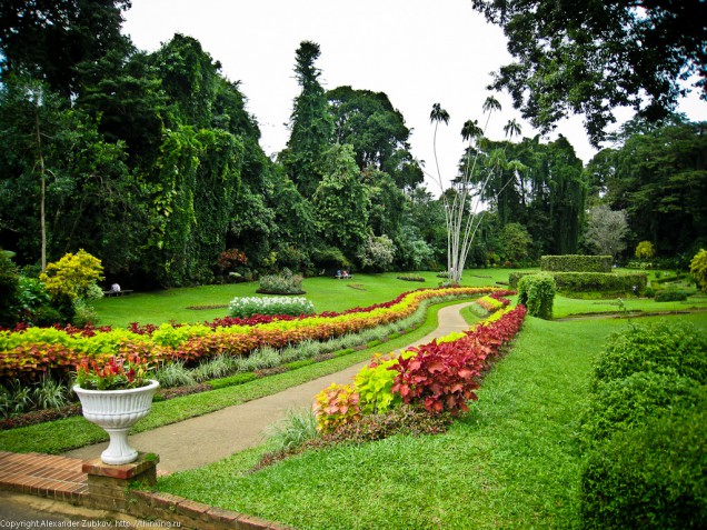 sri-lanka-garden