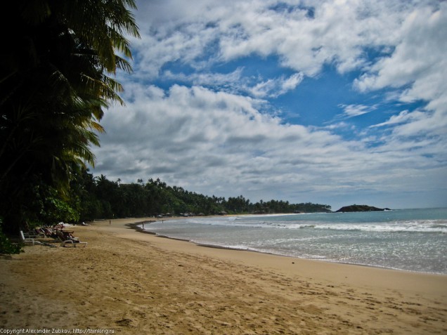 sri-lanka-mirissa