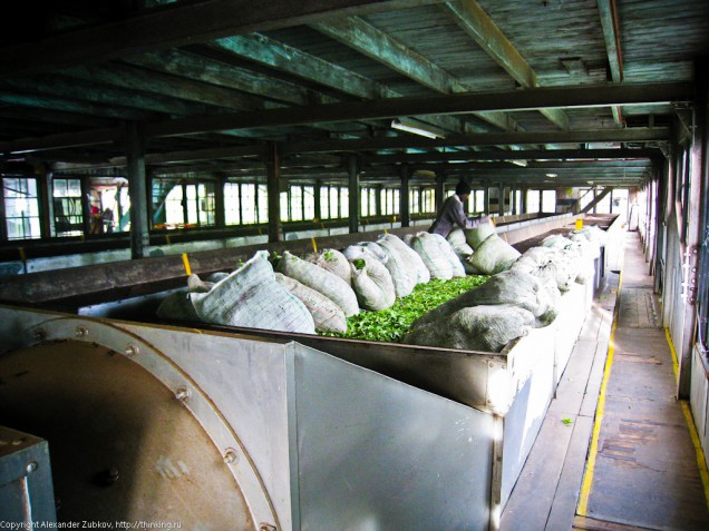 sri-lanka-tea-factory